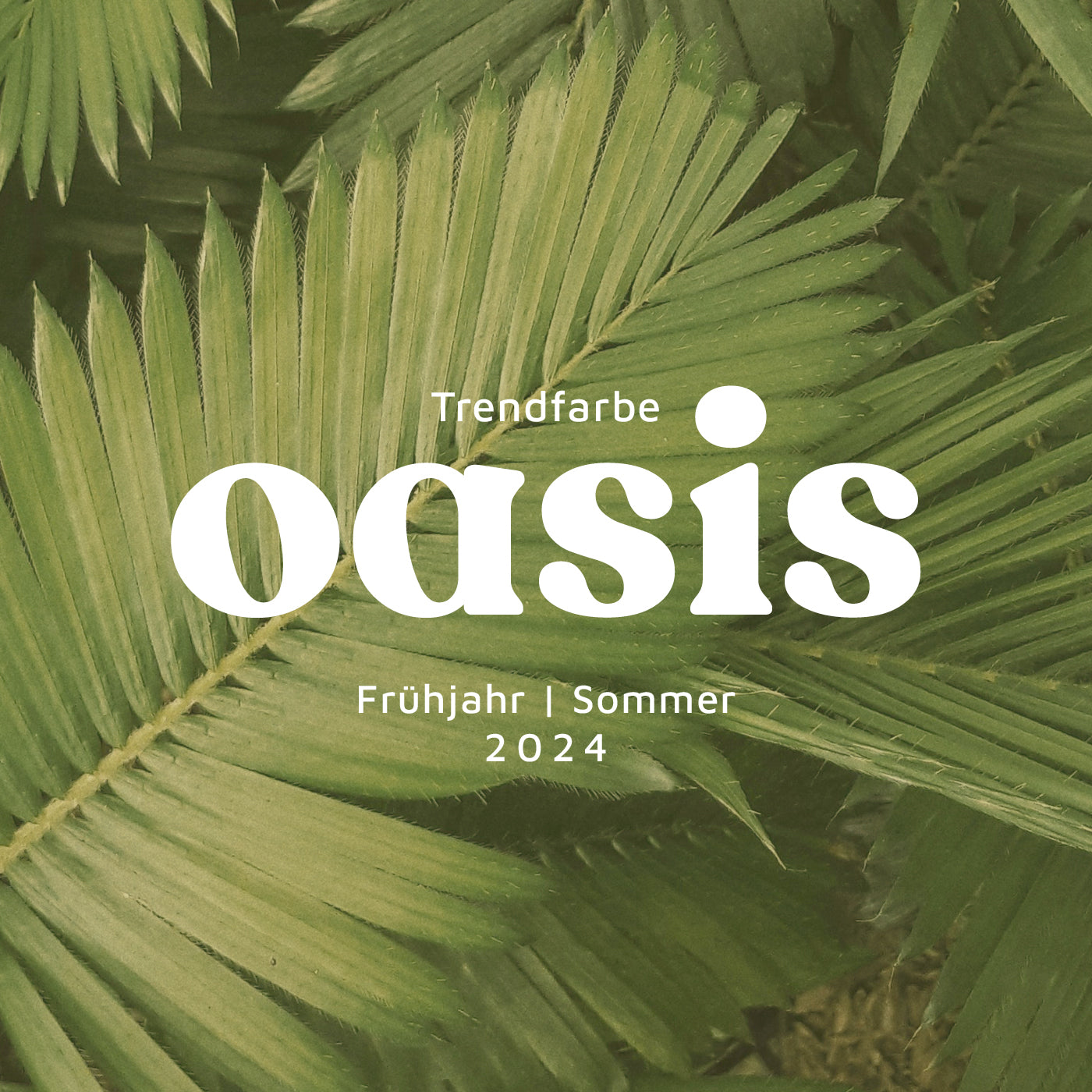 Oasis: Das Erwachen des Frühlings in Hellem Grün – unsere Trendfarbe F/S 2024 🌿