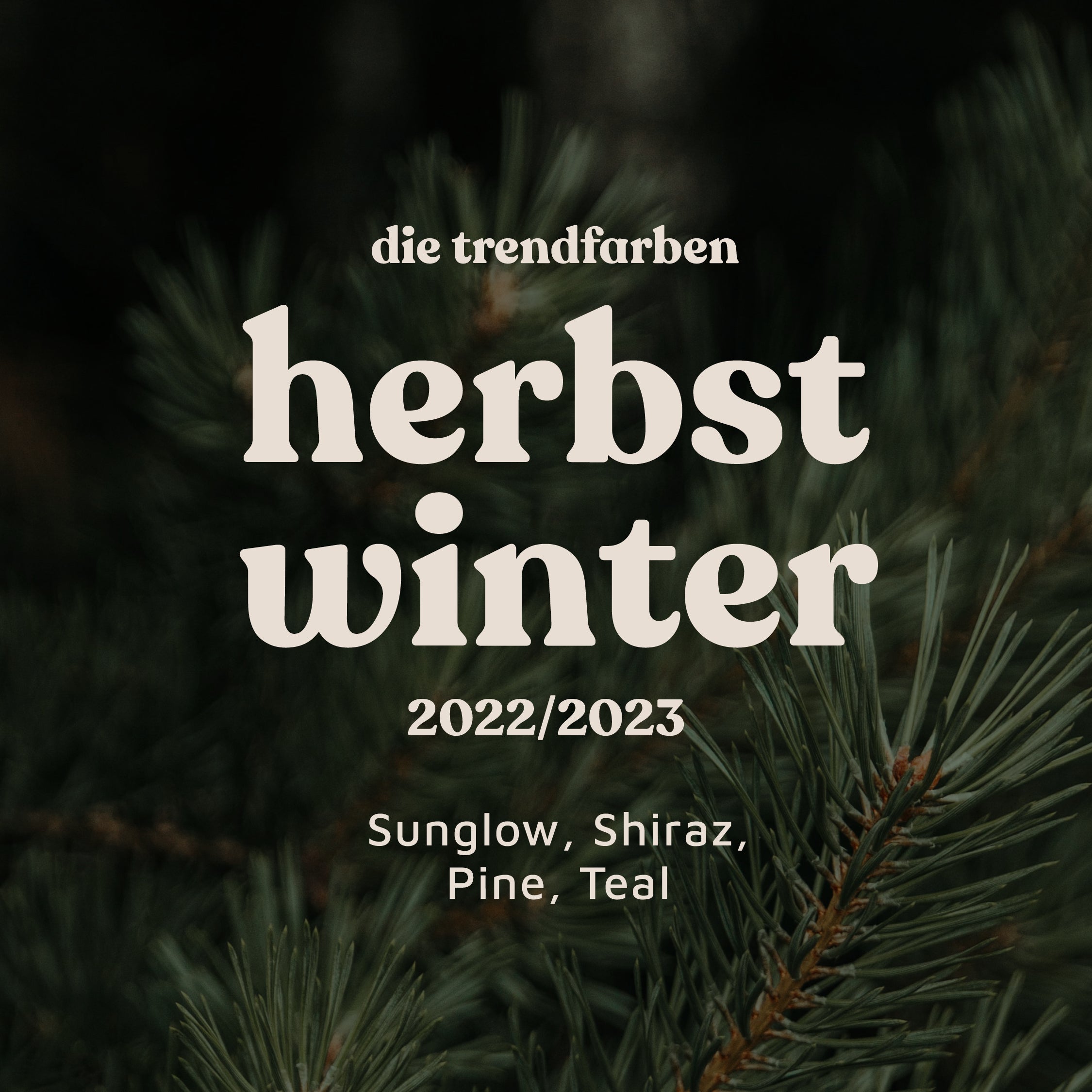 Ab in die goldene Jahreszeit – mit unseren neuen Trendfarben für Herbst/Winter 2022/2023