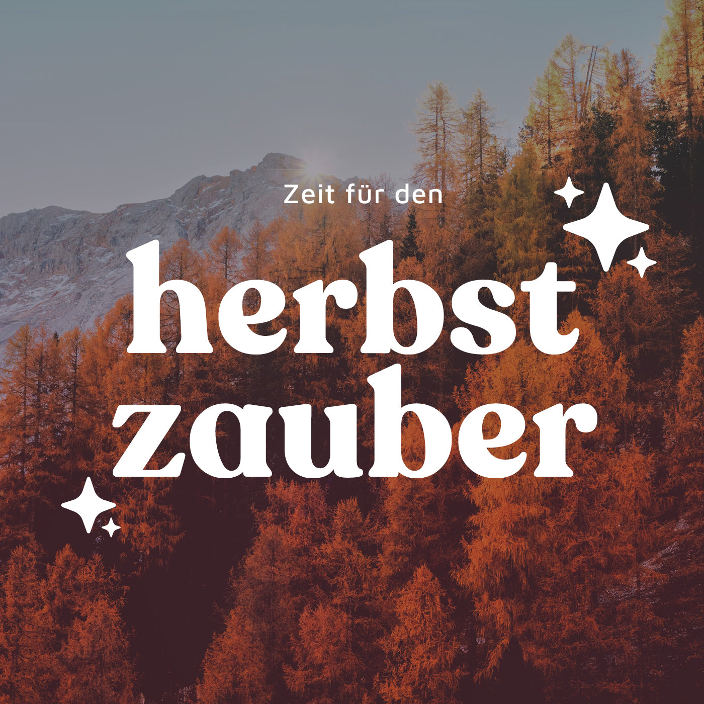 Bringe den Herbstzauber in deine Garderobe mit den Farben Jasper & Sangria! 🍁