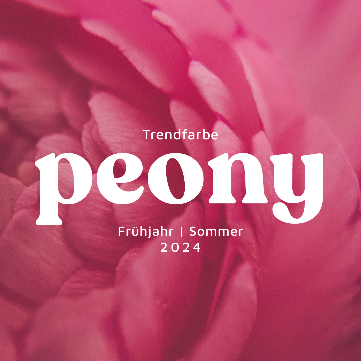 Blütenzauber im Kleiderschrank: Peony-Pink erblüht im Frühjahr/Sommer 2024! 🌸💕